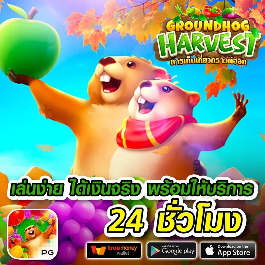 amb999 คาสิโนครบวงจร มาตรฐานสากล สมัครง่ายโบนัสเพียบ